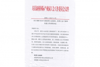 2016年度先进工作者表彰文件（寿县新桥国际产业园工会工作委员文件）